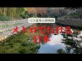 アルベール・カーン博物館|広大な庭園とオートクローム写真の魅力|映像による20世紀の世界旅行|フランス政府公認ガイドと行く小さな博物館