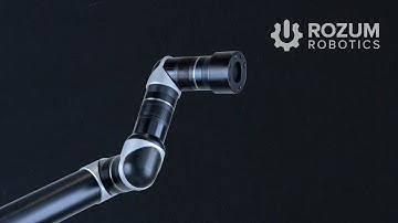 Several Robotic Arm Manipulators Working in the Common Environment