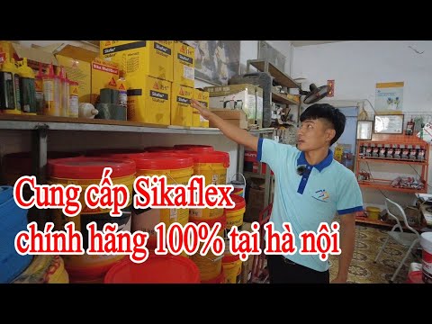 Video: Bạn trám khe co giãn bằng gạch bằng gì?