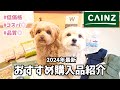 【2024年CAINZ購入品】低価格で品質◎CAINZ最新ペットグッズ購入品紹介🐶正直レビューもお伝えしています！【犬グッズ】
