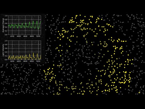 Spontaneous Synchronization of fireflies