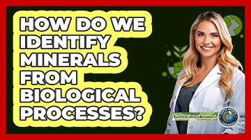 How Do We Identify Minerals From Biological Processes? - Earth Science Answers