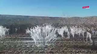 Şanlıurfada Büyük Tehlike Burası Sibirya Değil