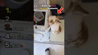 Ranking Best Bunny Moments