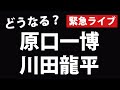 【衆院選2026】我慢できずにライブ配信