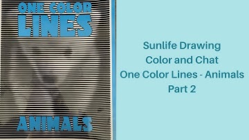 Sunlife Drawing Color and Chat - One Color Lines Animals - Part 2