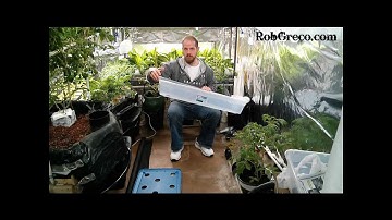 Easy DIY Hydroponic Deep Water Culture (DWC) System