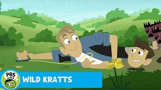 WILD KRATTS | Leaping Length! | PBS KIDS