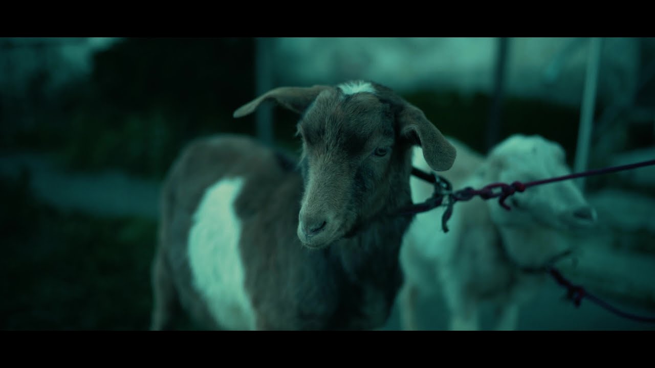 Beni VM - RO NATION 2 (PROD.ZAIDBREAK) 