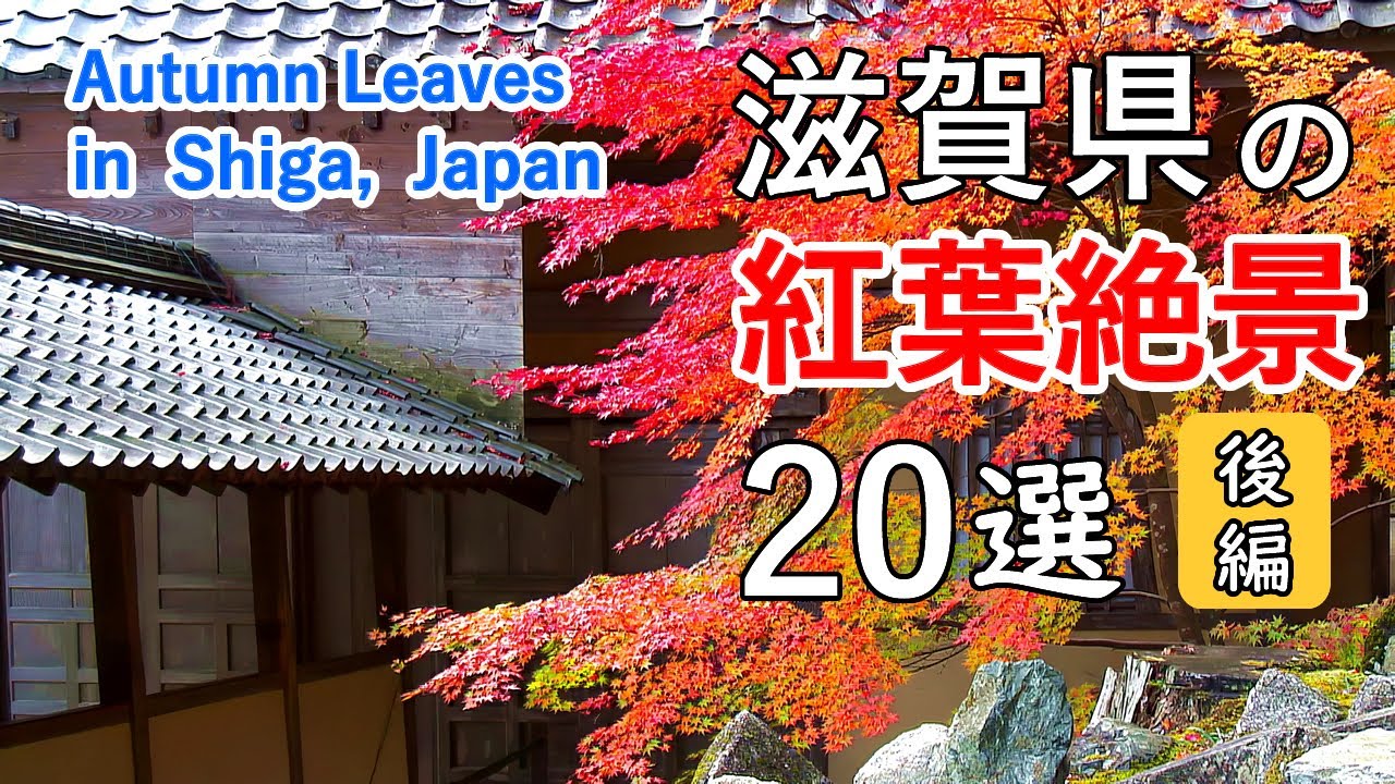 滋賀県の紅葉絶景ベスト20選（後編） / 永源寺・湖東三山・近江八幡・湖南三山・石山寺・三井寺・日吉大社 / Best 20 autumn leaves in Shiga, Japan Part2