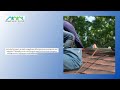 Spring Valley Roofing West Chester - Roofing West Chester Emergency Roofing Help Available