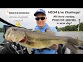 Humminbird mega live 3mode challenge  on the water with the technological angler s2e3