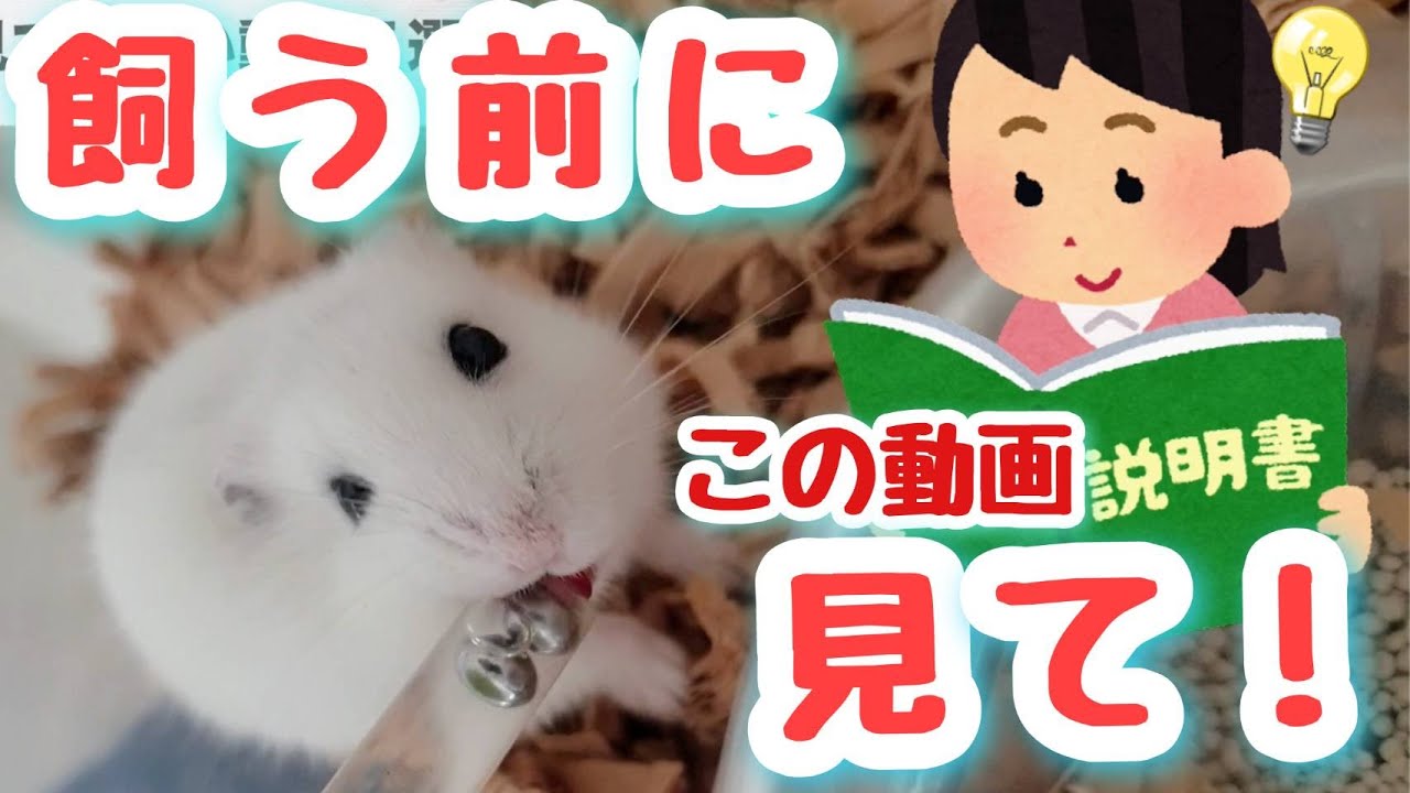 厳選】?を飼う前に見て欲しい動画 - YouTube