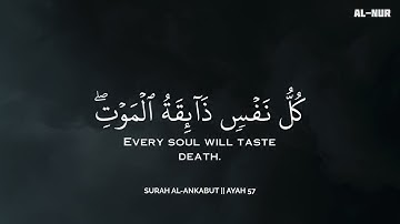 أرح سمعك.. تلاوة هادئة تريح القلب والعقل💙😴 | ساعة كاملة🕛🎧 القارئ محمد هشام | Mohamed Hesham