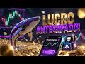 🐋 Como lucrar na Whales Market antes do lançamento!