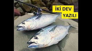 REKOR YAZILI ORKİNOS AVI Shore Jigging