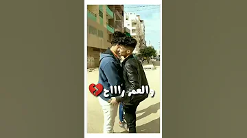 حاله وتس جامده مهرجان يابا تعبت من الايام عصام صاصا2020 