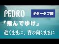 PEDRO - 飛んでゆけ ギター・ベースタブ譜