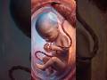 “एक sperm से शुरू होती है इंसान बनने की journey 😳 | #youtubeshorts #sciencefacts #thesciencesecrets