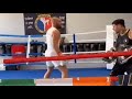 Conor McGregor's Bouncy Karate Style Is Back, Sharp.