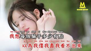 骗子 - 戴羽彤【备有清晰版伴奏视频】