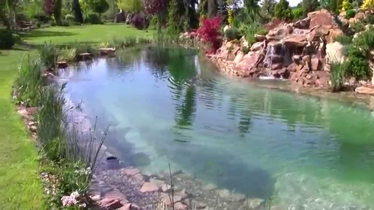 The pond, biotope, koupací jezírko s vodopádem. Vybudovano svépomocí.