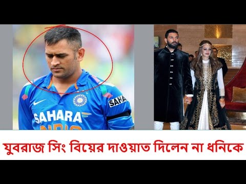 ভিডিও: কীভাবে হাজেল হাজির