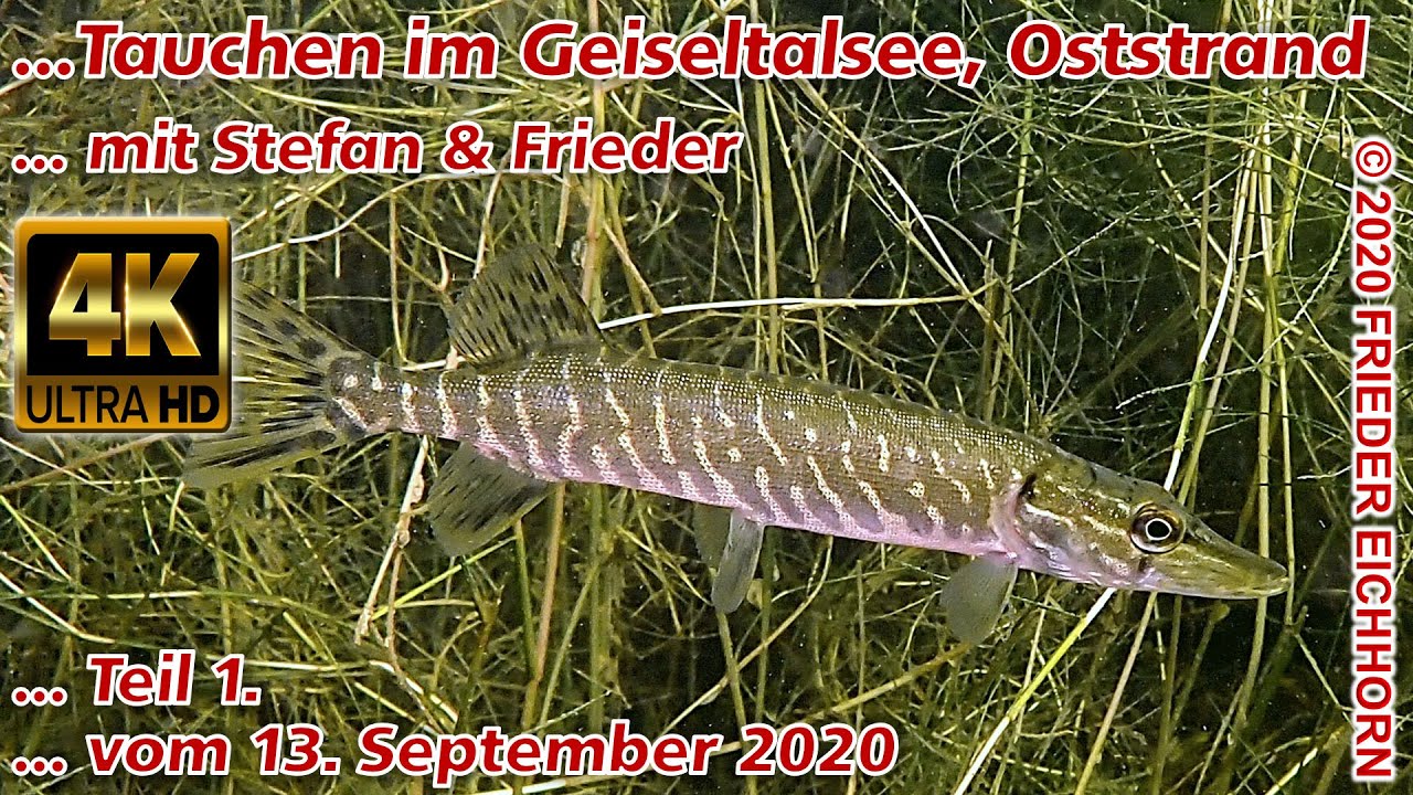 Tauchen im Geiseltalsee, Oststrand, 🐟, bei Frankleben, ☀ sonniges Wetter 👌, Teil 1...