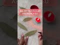 Remove Obstacles in Your Path with the Simple Yet Powerful Bay Leaf Herb