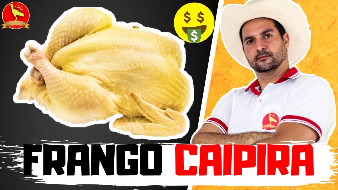 Vendendo minha produção de FRANGO CAIPIRA Vendendo minha produção de FRANGO CAIPIRA