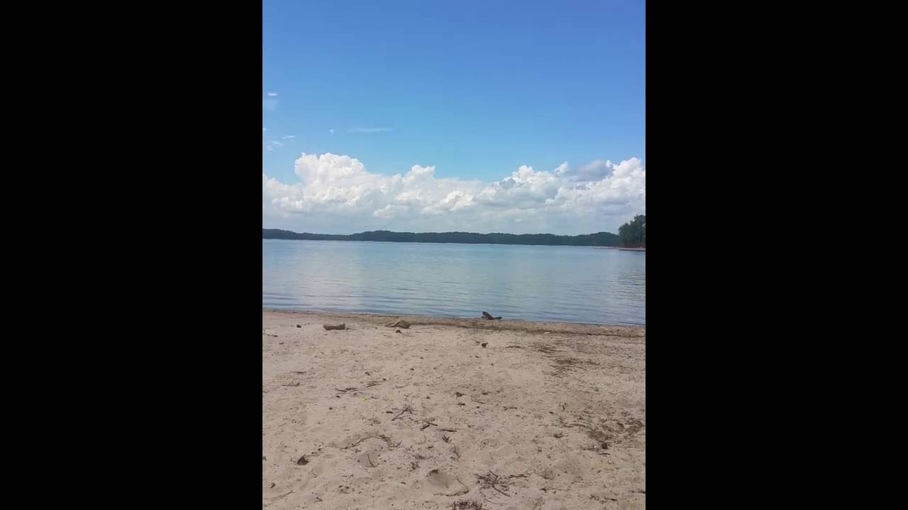 camera iphone 8 plus apk The lake