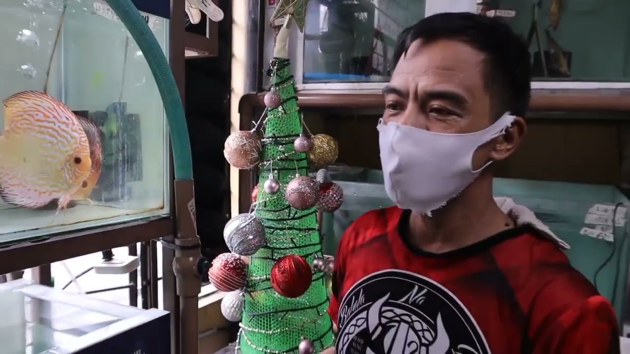 MASSIVE breeding Condo unit URBAN fish farming