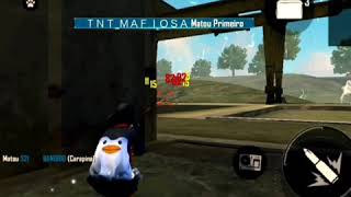 HIGHLIGHTS APELAPATO#DANTES33#EL GATO