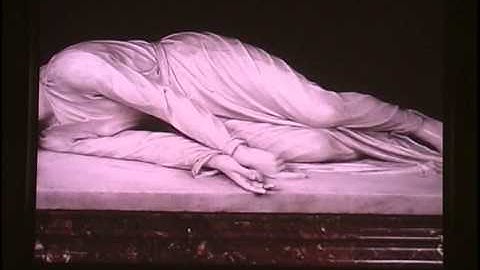 IoA Sliver Lecture, Kivi Sotamaa