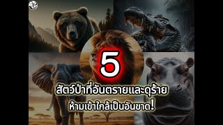 5 สัตว์ป่าที่อันตรายและดุร้าย ห้ามเข้าใกล้เป็นอันขาด!