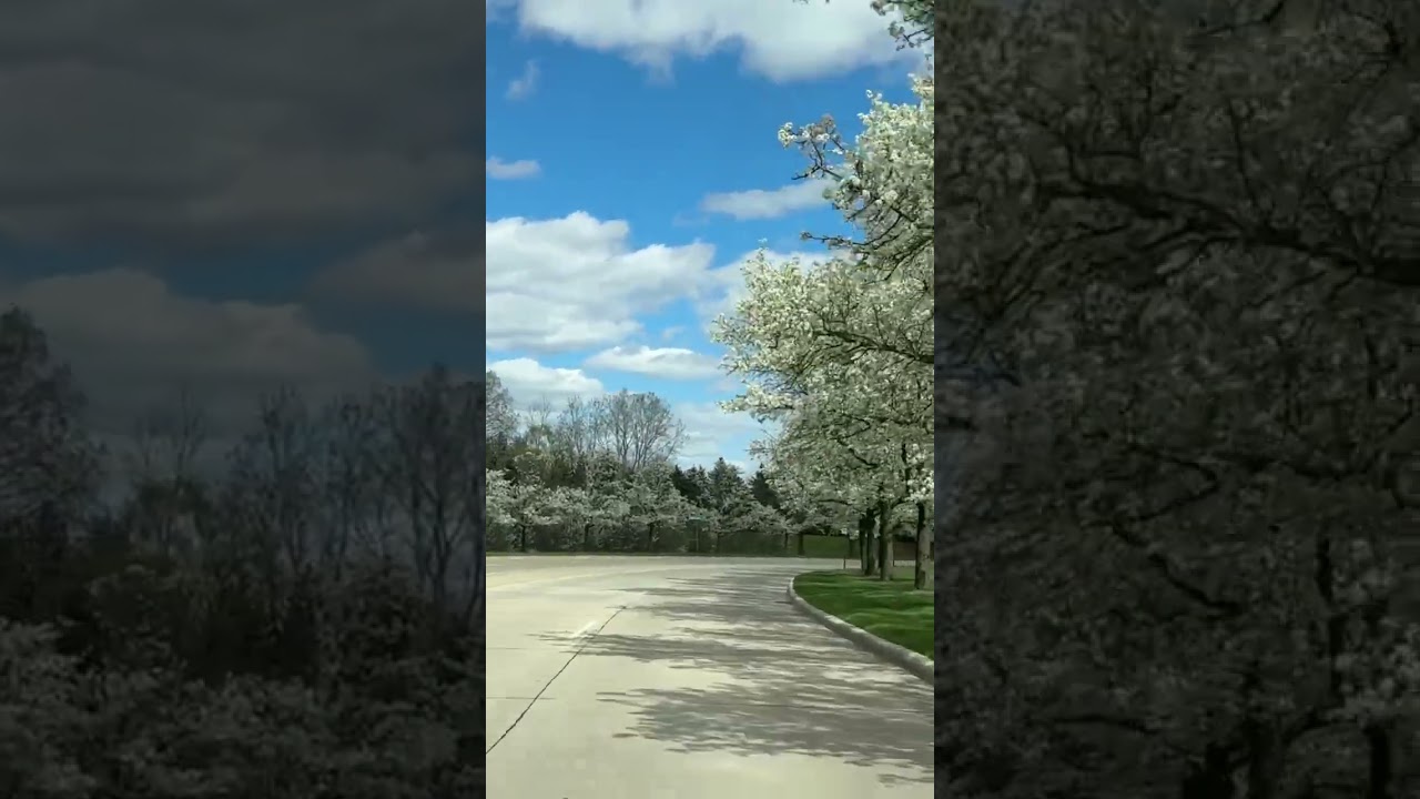 Love's Embrace: A Romantic Journey ❤️