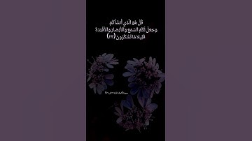 سورة الملك الآية ٢٢ الى ٢٦ بصوت الشيخ #ماهر_المعيقلي  #القرآن_الكريم