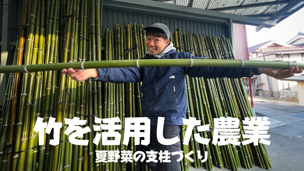 Utilizing bamboo, which has limitless possibilities, as an