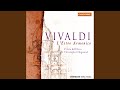 Miniature de la vidéo de la chanson Concerto In B Minor For 4 Violins, Op. 3 No. 10 Rv 580: Ii. Largo - Larghetto