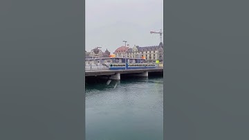 beautiful train in Switzerland #shortvideo#shorts#youtubeshorts#