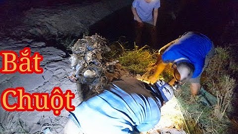 Bắt chuột ban đêm cùng anh em ngoài ruộng tập 1.