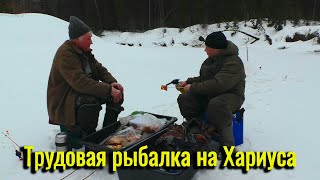 Трудовая рыбалка на Хариуса. Не тот размер, но радовали они нас всю рыбалку.