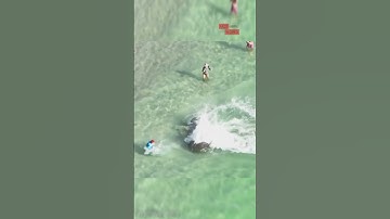 Guy Almost Gets Ran Over By Two Manatees Fighting | Unexpected Ocean Encounter