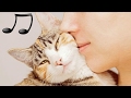 GATTI MUSICA: Musica Rilassante Per Gatti  per calmarsi il dormire animali domestici  🎵♫