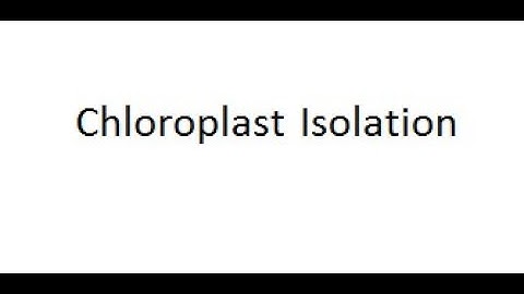 Chloroplast Isolation Demo F20