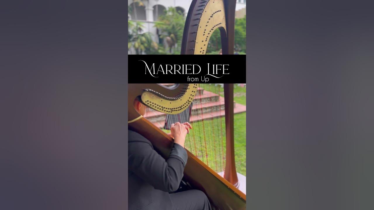 Married Life from Up Live | wedding harp cover