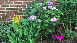 A secret healing memorial garden at Newton Wellesley Hospital