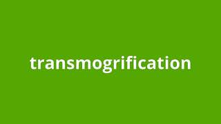 what is the meaning of transmogrification