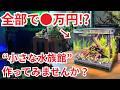 【作り方＆総額公開】初心者でもできる30cm水槽立ち上げ！必要な機材からレイアウトまですべて見せます