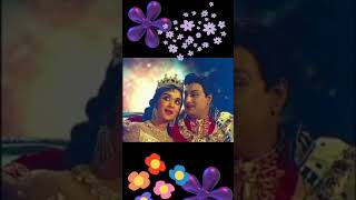 #TamilSongShorts #MGR Sarojadevi #TMS PSuseela #MSV #Anbe Vaa⚘🌹⚘💜💕🎶🌹⚘💜💕💘💘💙💘💙💜💙💜💙💜💙💜💙💜💙💜💙